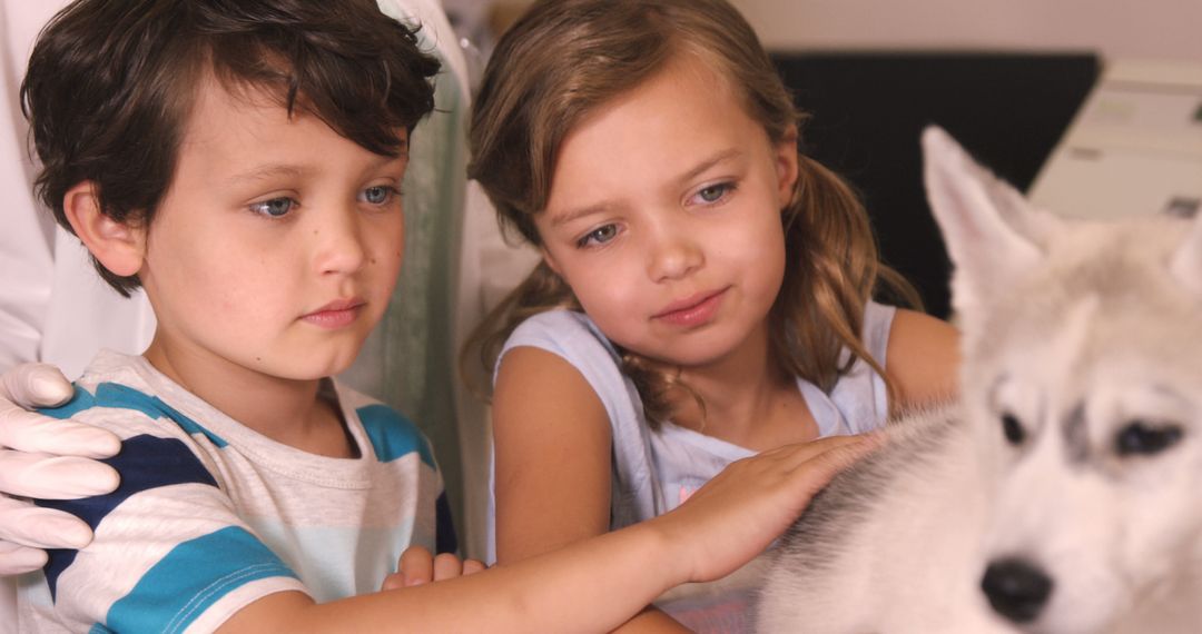 Children Petting Adorable Husky Puppy During Veterinary Visit - Free Images, Stock Photos and Pictures on Pikwizard.com