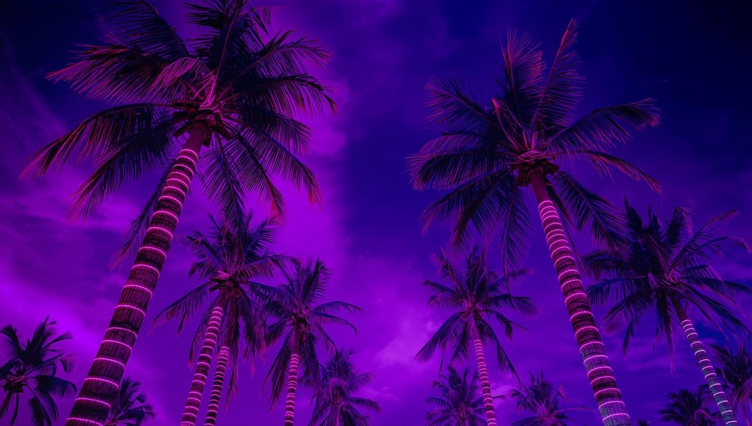 Illuminated Palm Trees with Magic Purple Sky and Clouds