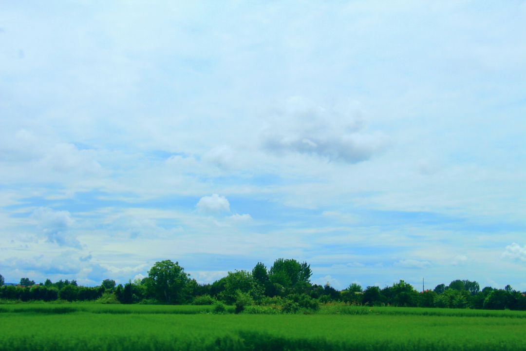 Idyllic Countryside Field with Greenery and Cloudy Sky - Free Images, Stock Photos and Pictures on Pikwizard.com