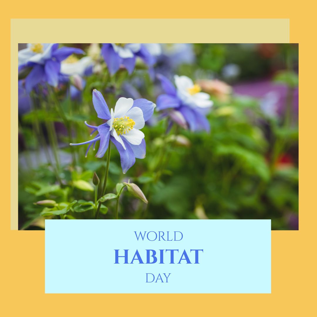 Colorful Columbine Flowers Celebrating World Habitat Day