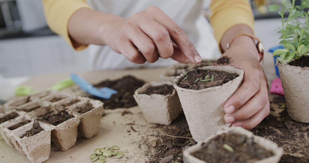 Woman Planting Seeds in Biodegradable Pots - Free Images, Stock Photos and Pictures on Pikwizard.com