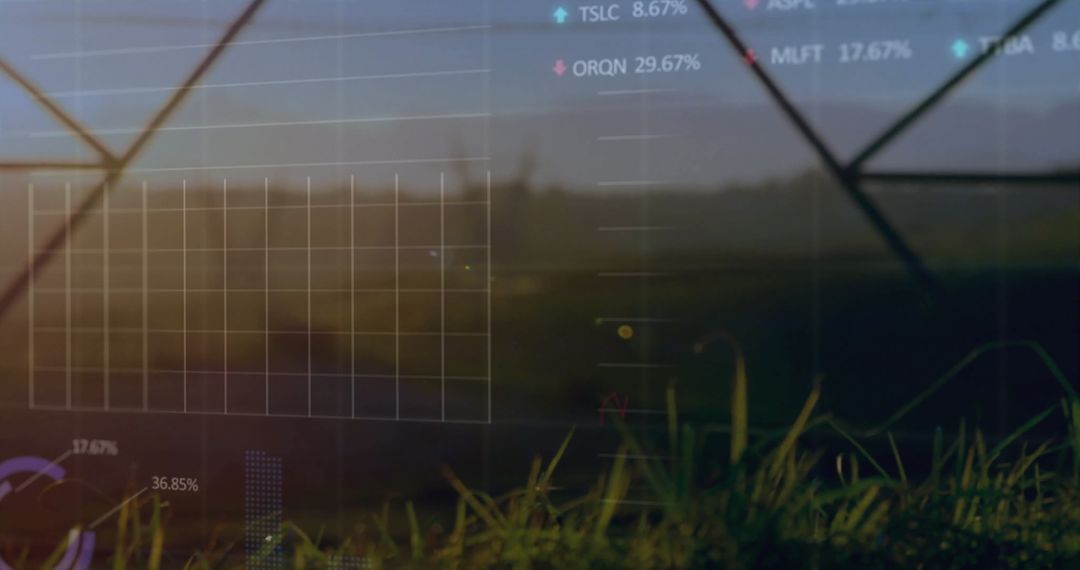 Translucent Financial Data Crowns Tranquil Meadow for Innovative Insights