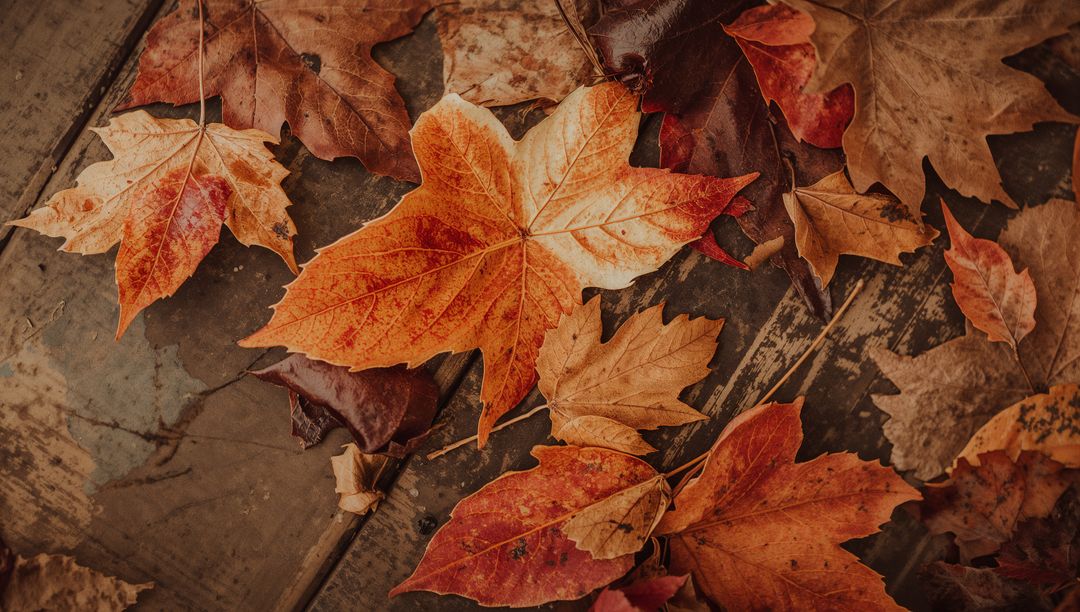 Autumn Maple Leaves on Weathered Wooden Planks Rustic Fall Foliage Texture Background