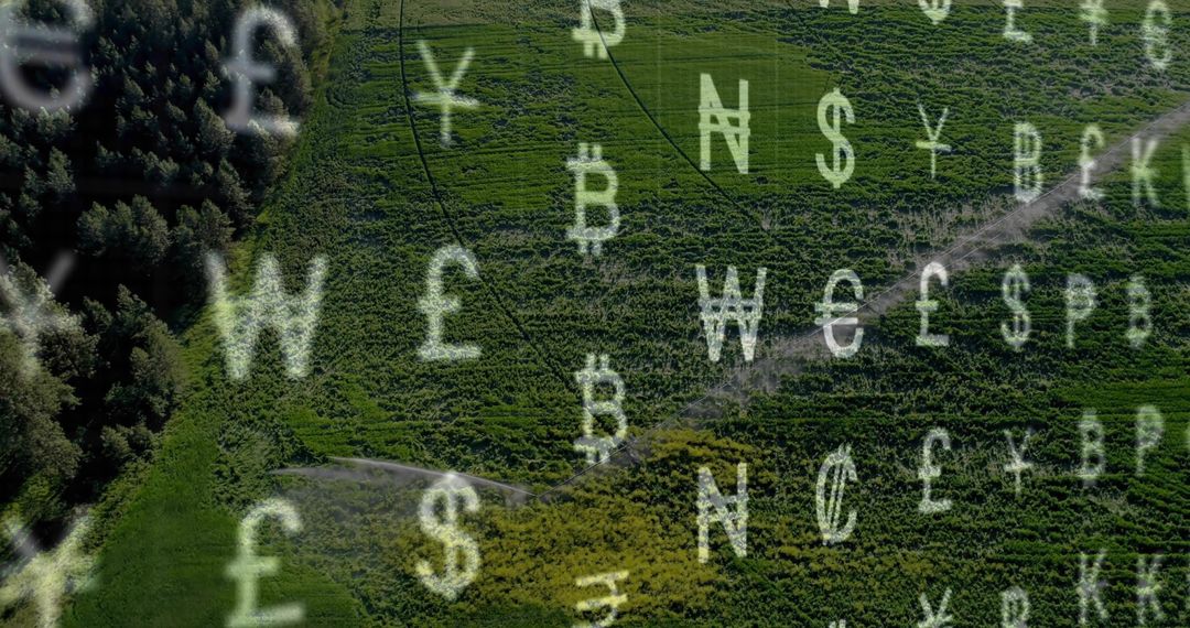 Floating Currency Symbols Above Lush Green Field
