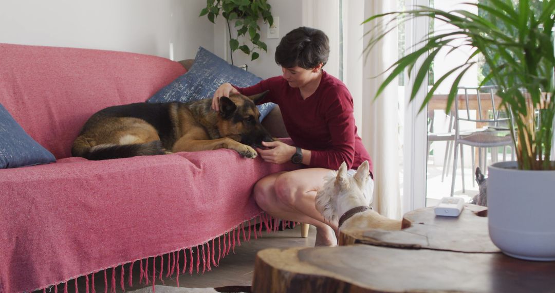 Young Woman Petting Dogs on Couch in Cozy Living Room - Free Images, Stock Photos and Pictures on Pikwizard.com