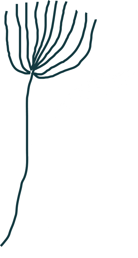 Minimal Botanical Illustration with Transparent Elements