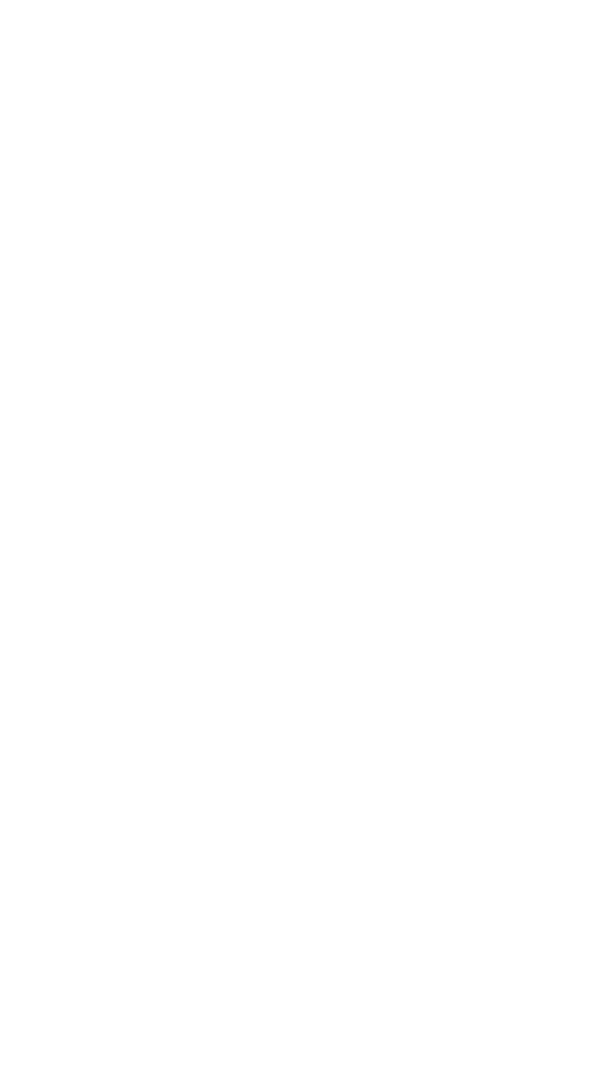 Transparent Silhouette of Woman Drinking Water, Fitness and Hydration Concept - Download Free Stock Images Pikwizard.com