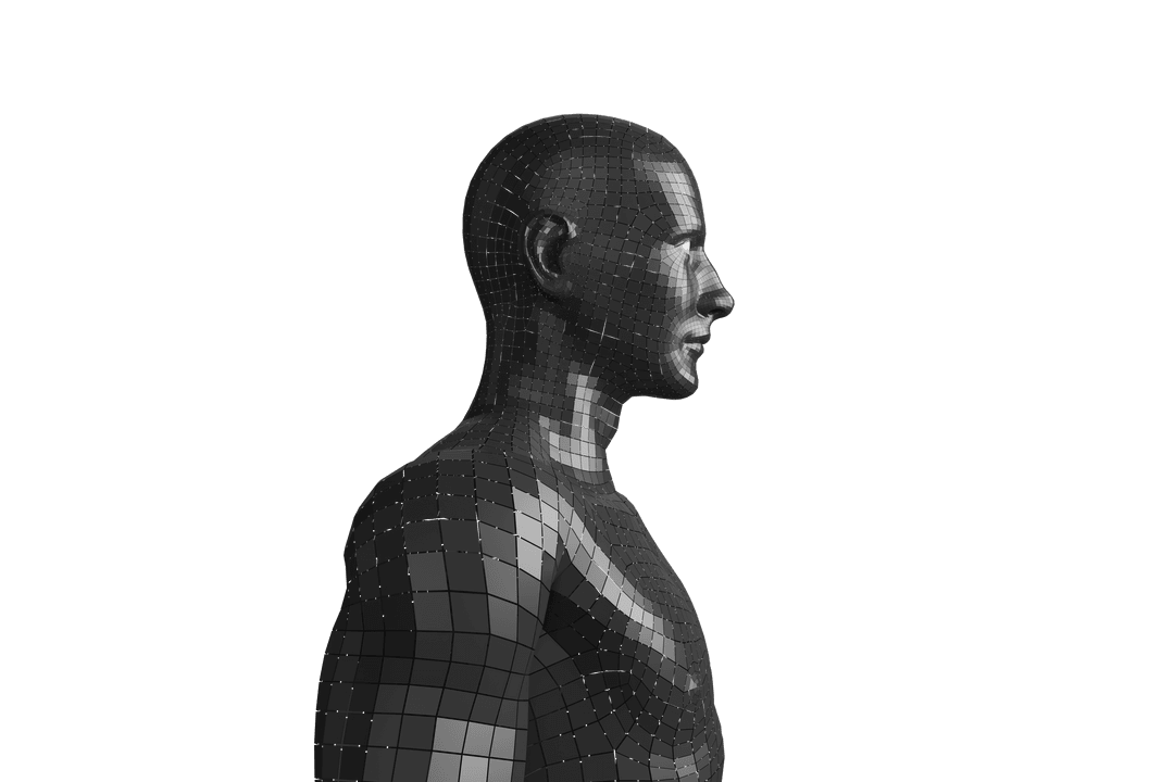 Transparent Digital Human Illustration With Grey Wireframe Design