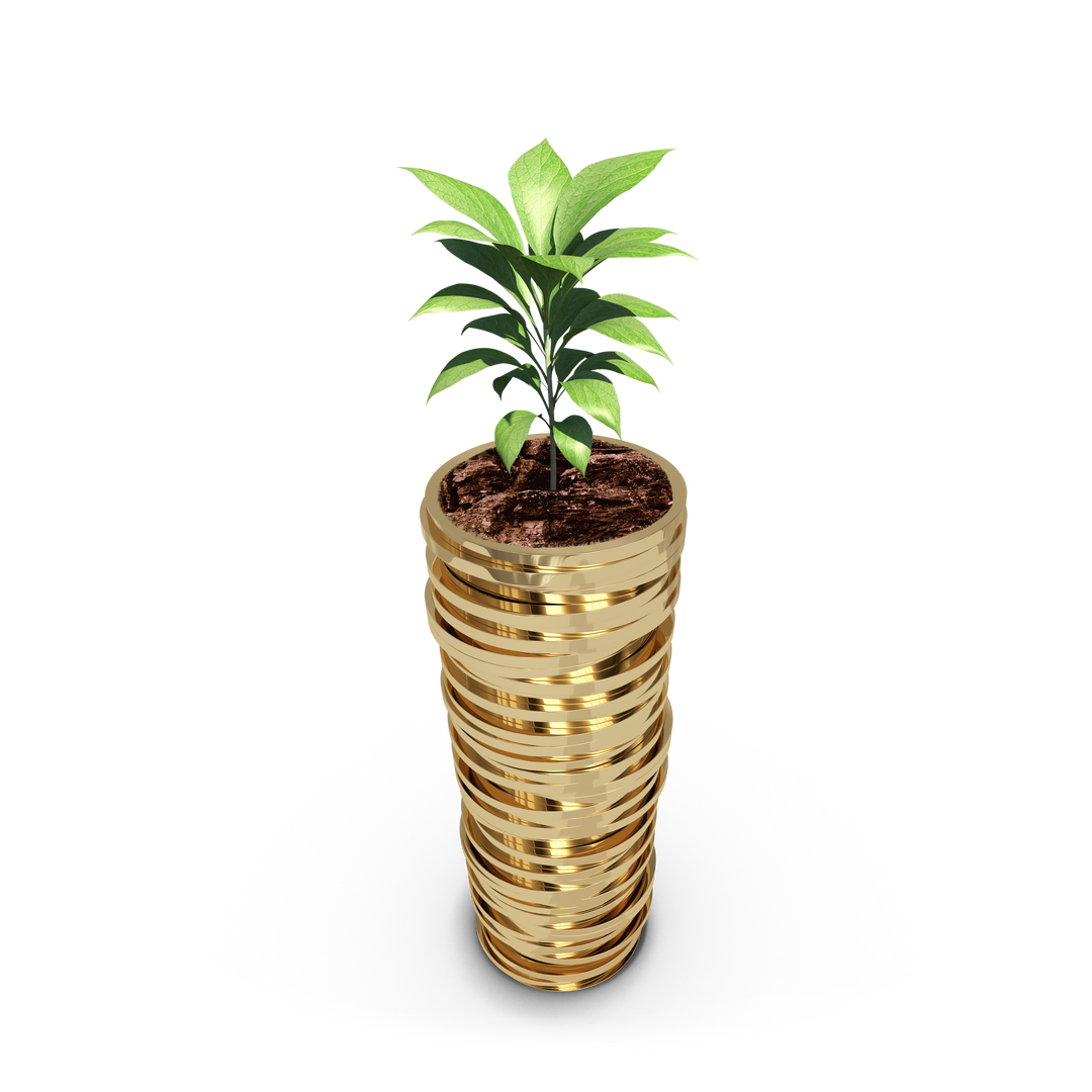 Transparent PNG Illustration of Plant Growing from Pile of Gold Coins - Download Free Stock Images Pikwizard.com