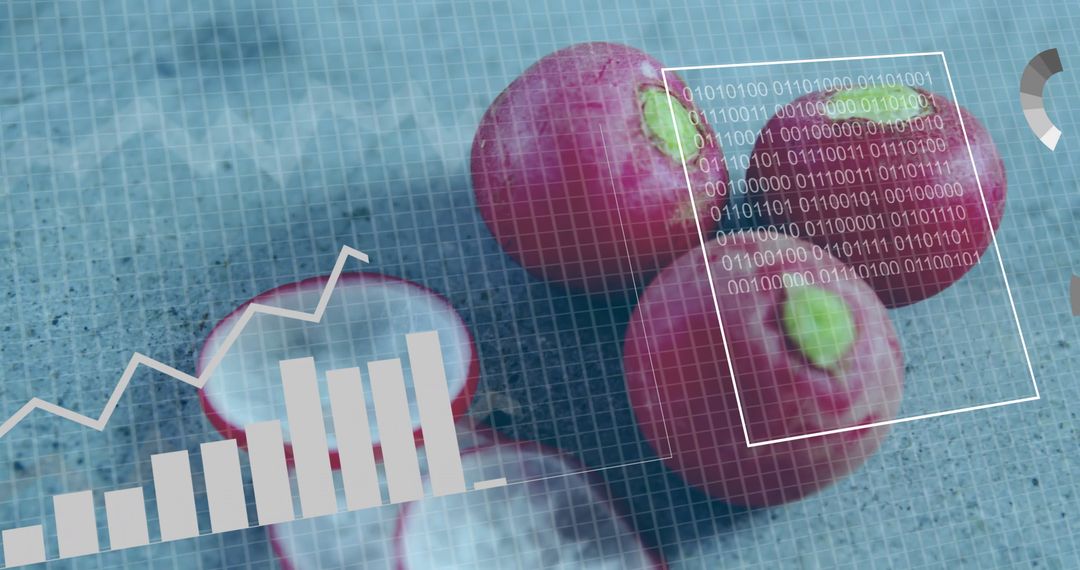 Fresh Radishes with Technological Data Overlay Representing Agriculture Analytics