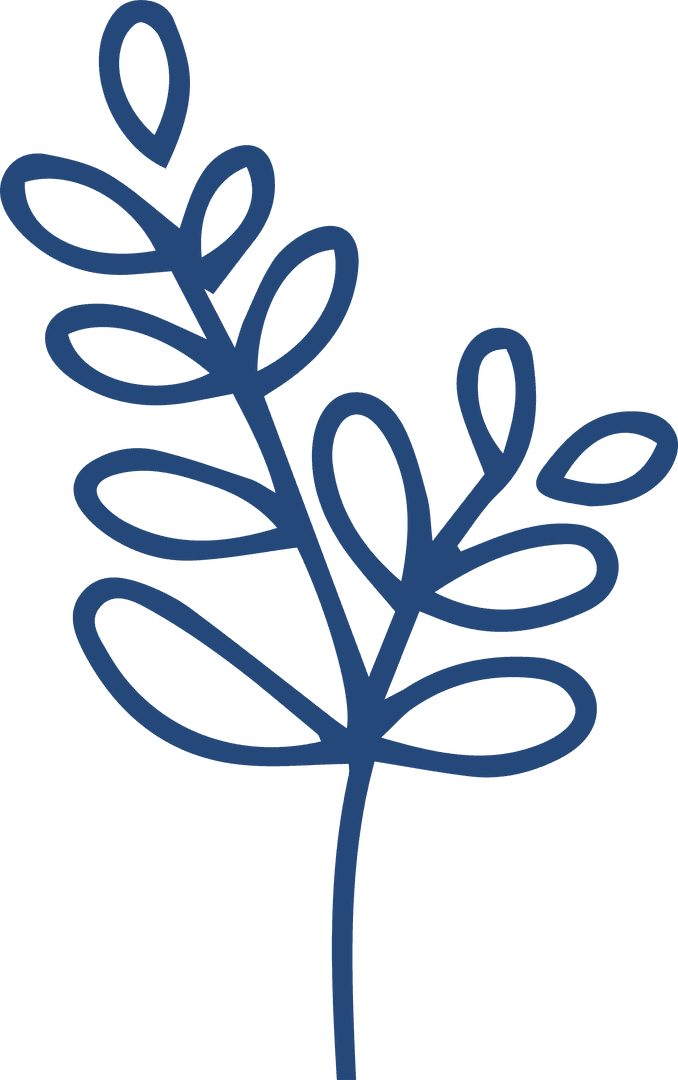 Elegant Minimalist Blue Plant Branch Line Drawing on Transparent Background