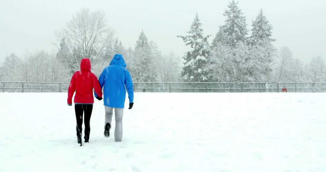 Couple Holding Hands in Snowy Winter Landscape - Free Images, Stock Photos and Pictures on Pikwizard.com