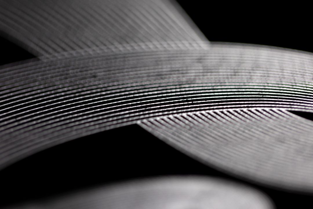 Abstract Close-up of Intricate Curved Lines on Dark Background