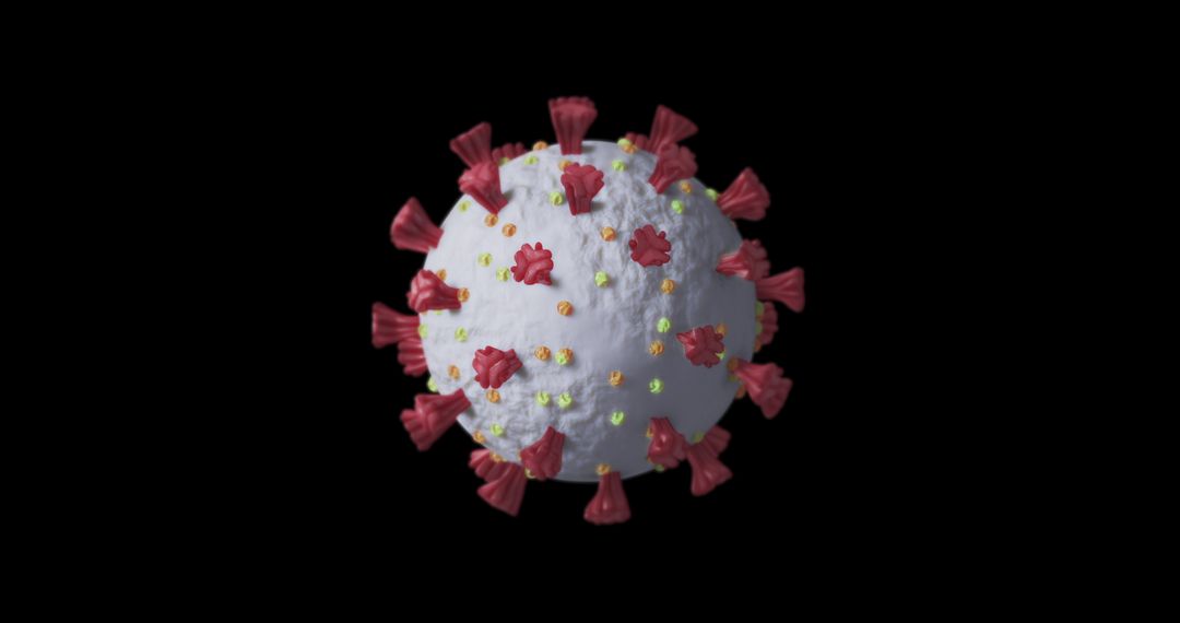 Rotating 3D Model of COVID-19 Virus Structure