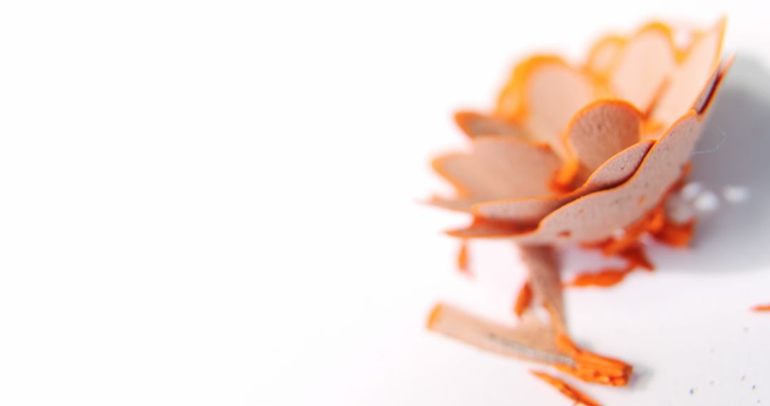 Macro View of Orange Pencil Shavings on White Background - Free Images, Stock Photos and Pictures on Pikwizard.com