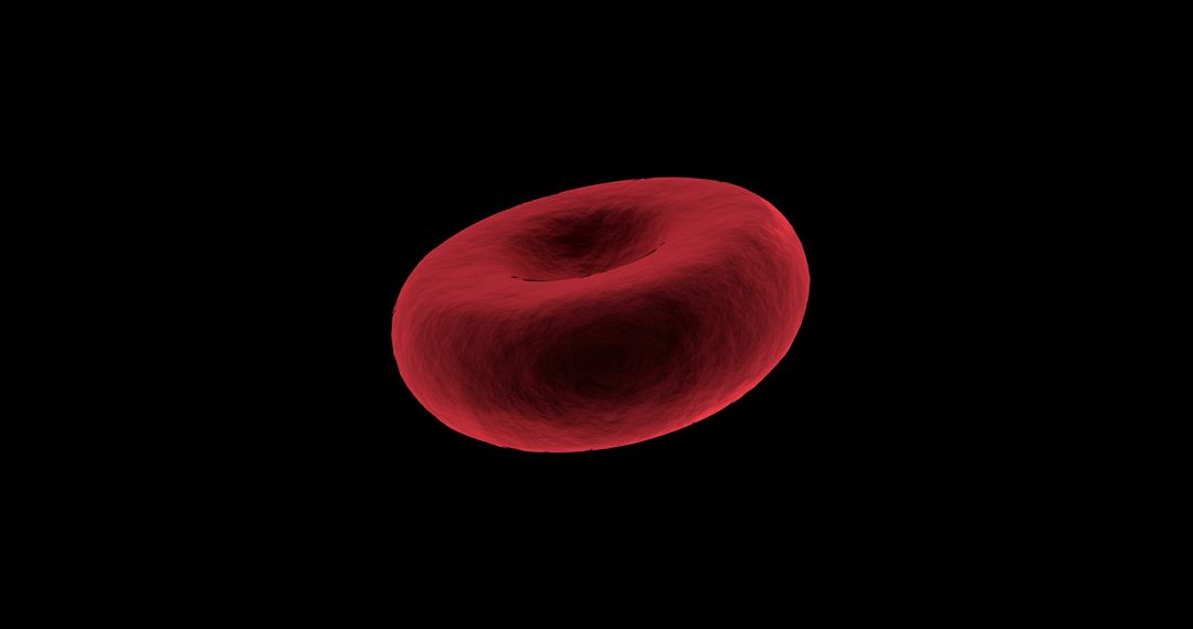 Detailed View of Red Blood Cell Against Dark Surface