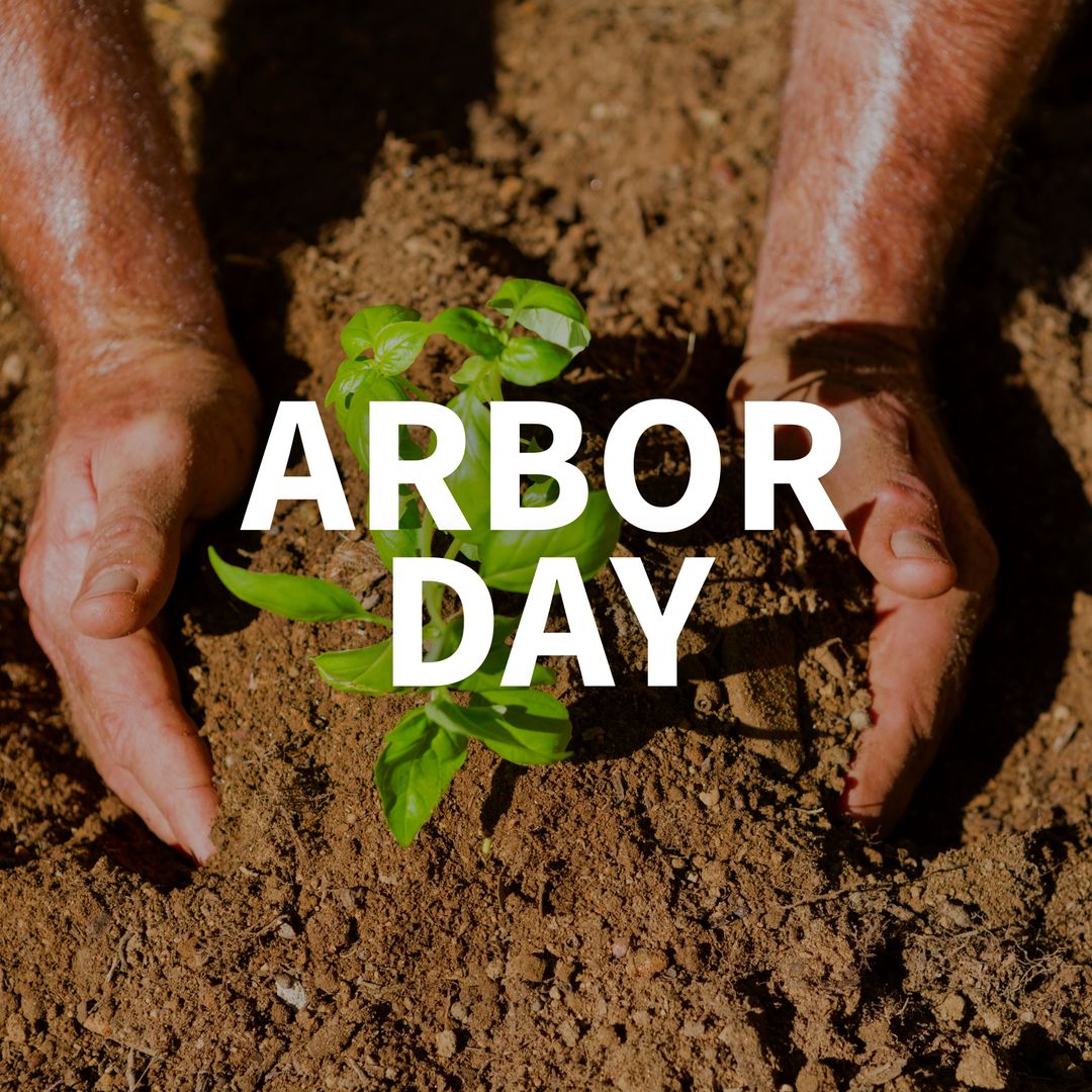 Celebrating Arbor Day with Seedling Planting