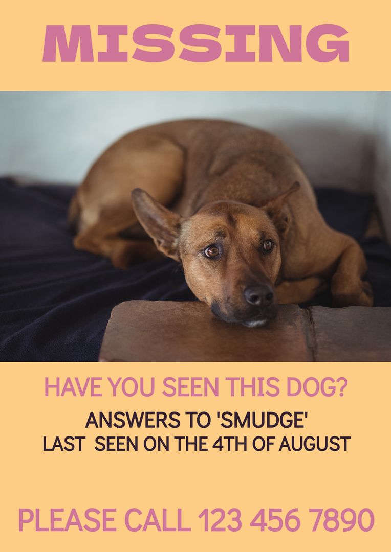 Missing Poster with Dog on Orange Background - Download Free Stock Templates Pikwizard.com