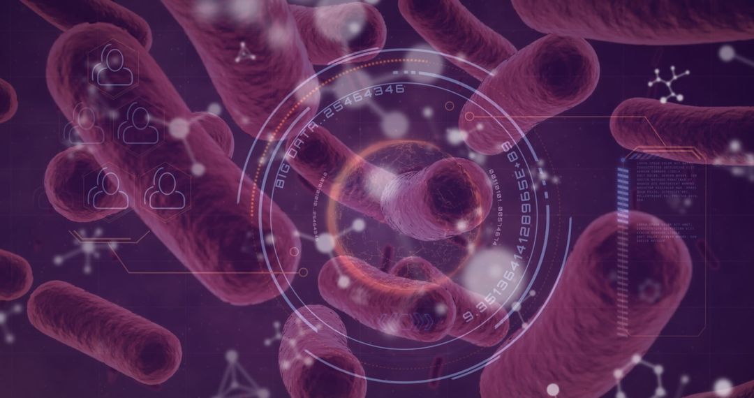 Digital Interface with Virus Cells and Molecular Structures