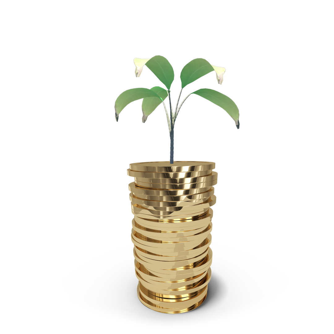 Transparent Coins Stack with Growing Plant Illustrating Finance and Nature - Download Free Stock Images Pikwizard.com