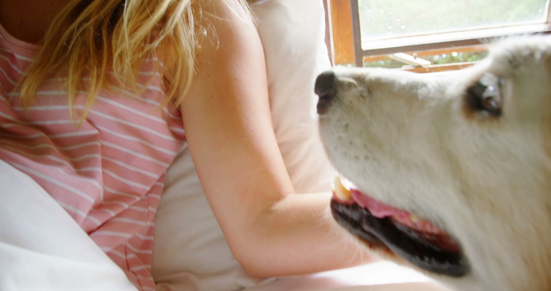 Teenager Bonding with Big Dog Indoors