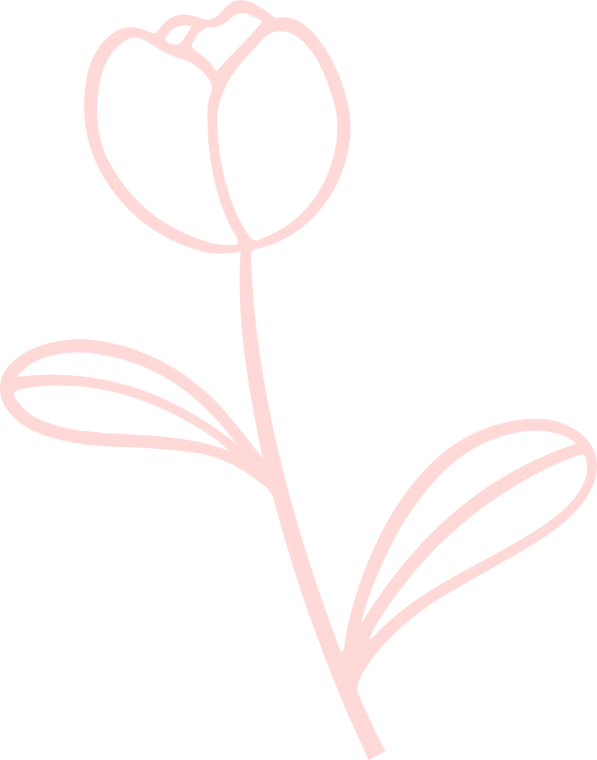 Minimalist Floral Line Art on Transparent Background