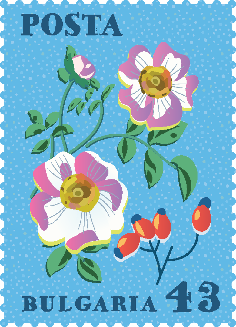 Bulgarian Floral Stamp Art on Transparent Background - Download Free Stock Images Pikwizard.com