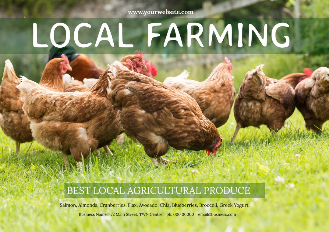 Free-Range Chickens Grazing in Green Pasture for Local Farming Promotion