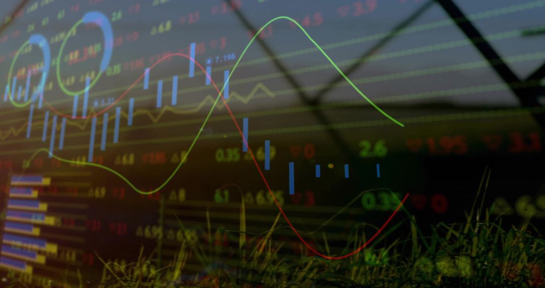 Biophilic Data Visualization Integrating Stocks and Nature