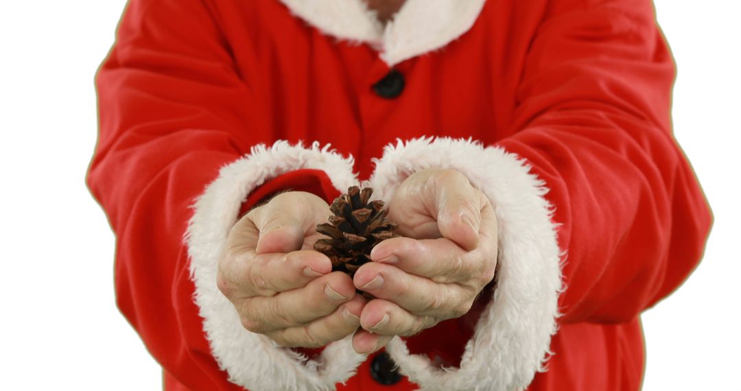 Christmas Figure Holding Pine Cone in Hands - Free Images, Stock Photos and Pictures on Pikwizard.com