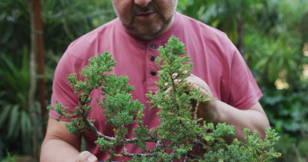 Man Pruning Bonsai Tree in Garden - Free Images, Stock Photos and Pictures on Pikwizard.com