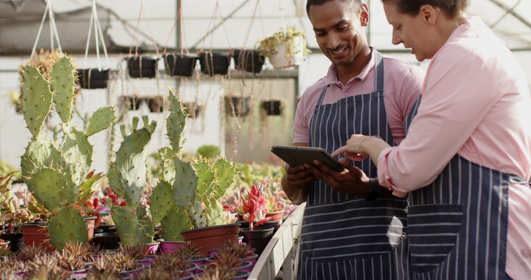Diverse Horticulturists Using Tablet in Greenhouse with Desert Plants