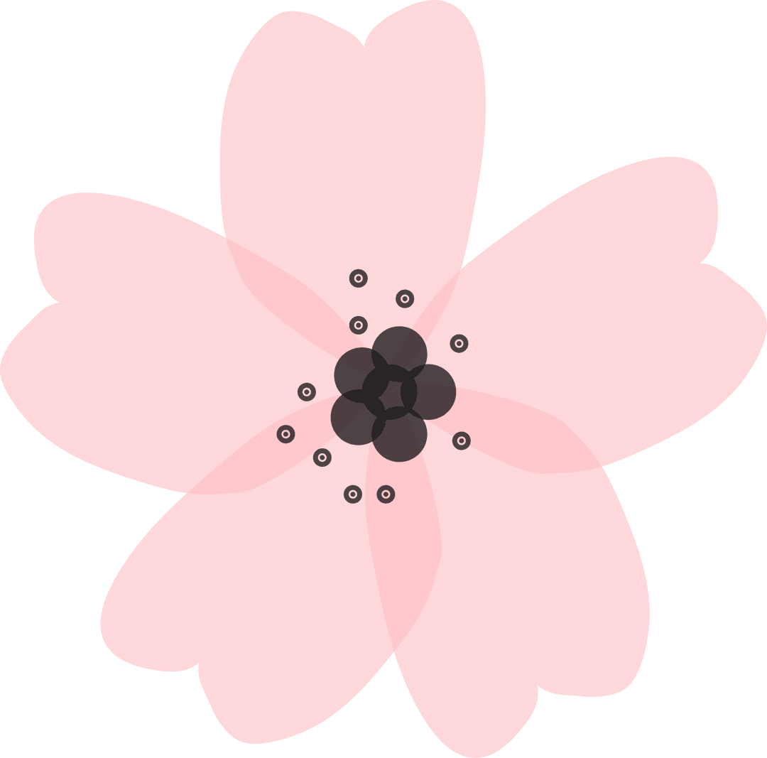 Elegant Pink Blossom on Transparent Background