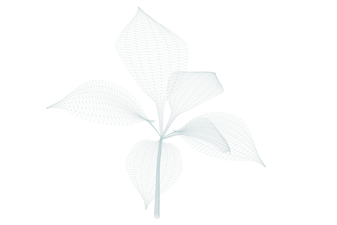 Transparent Plant Vector Illustration on Clear Background