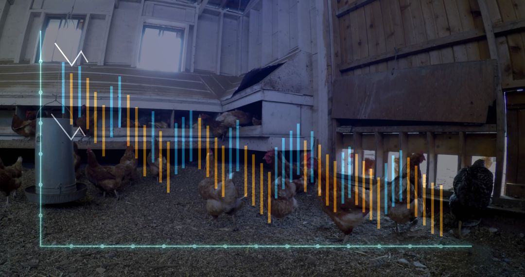 Hens in Coop with Data Chart Overlay Reflecting Agricultural Metrics