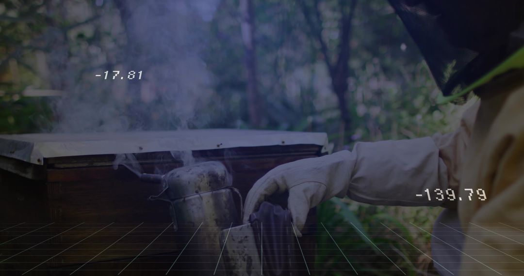 Beekeeper Using Smoker in Wooden Hive at Forest Apiary