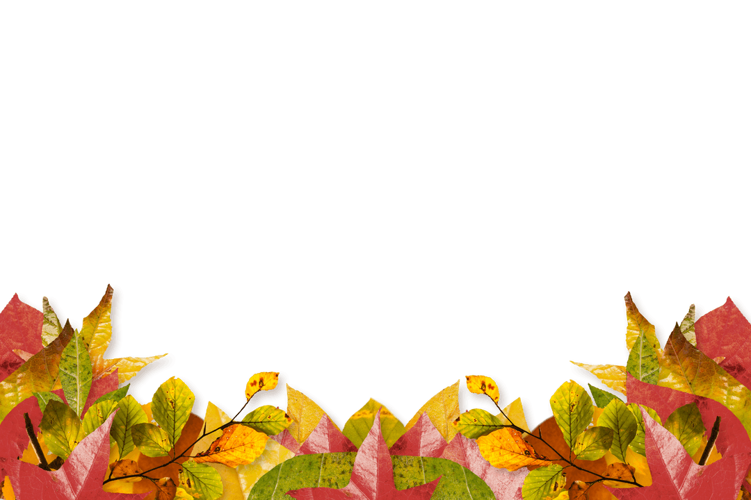 Transparent Autumn Leaves Arrangement with Copy Space