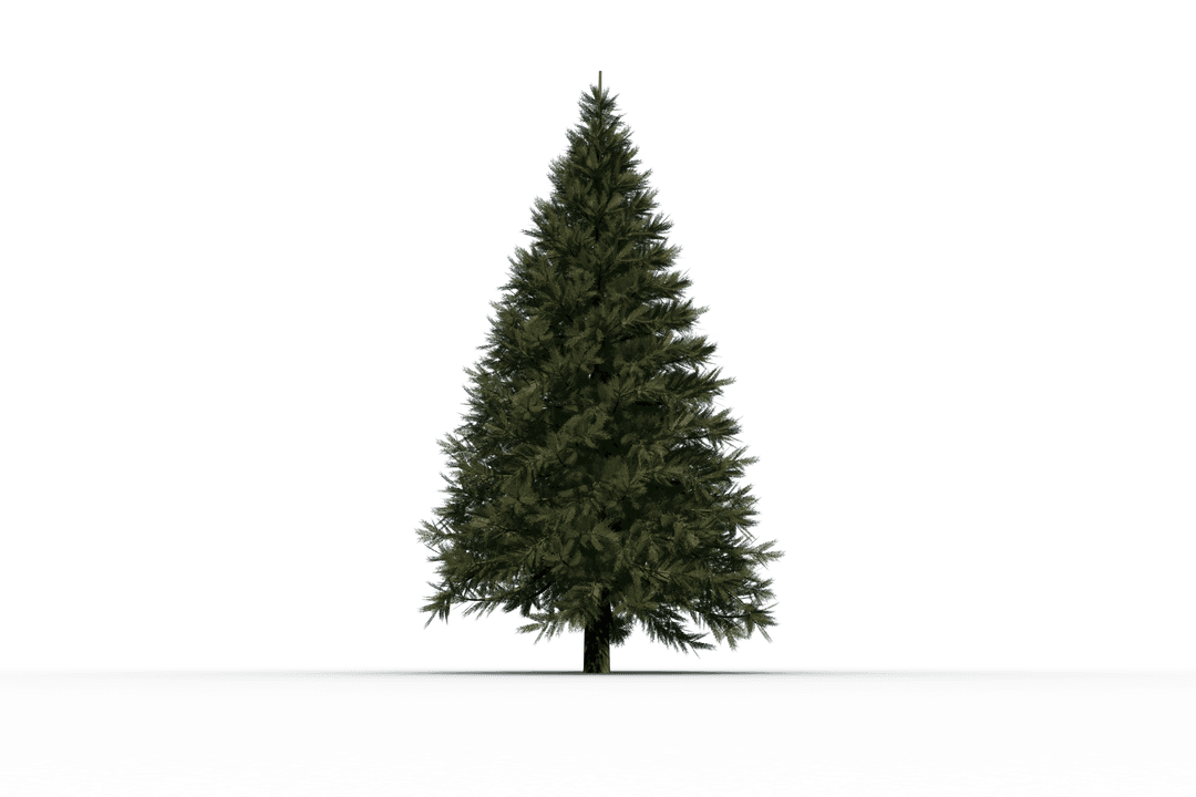 Transparent Christmas Tree Digital Illustration on Isolated Background