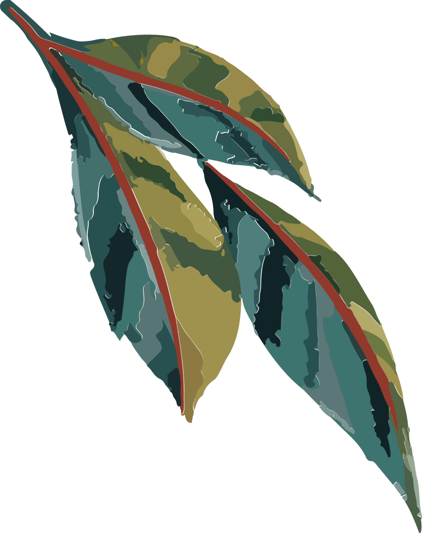 Stylized Variegated Leaves with Red Midribs on Transparent Background