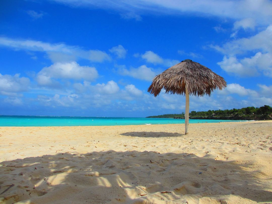 Serene Tropical Beach with Straw Umbrella and Clear Blue Sky - Free Images, Stock Photos and Pictures on Pikwizard.com