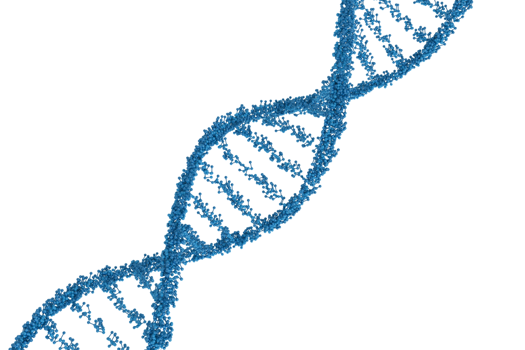 Blue Transparent DNA Double Helix - Download Free Stock Images Pikwizard.com