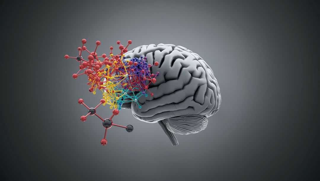 3D Brain Model with Vibrant Molecular Network Visual