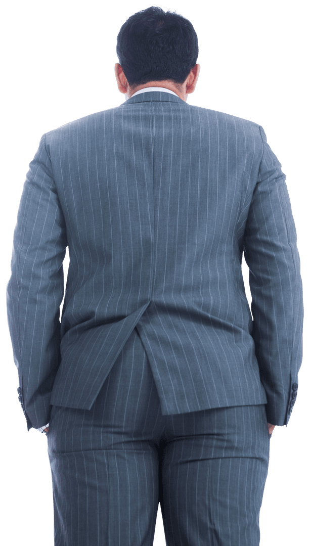 Back of Biracial Businessman in Pinstripe Suit on Transparent Background