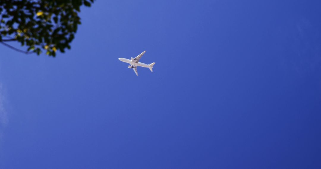 Airplane Flying in Clear Blue Sky with Tree in Corner - Free Images, Stock Photos and Pictures on Pikwizard.com