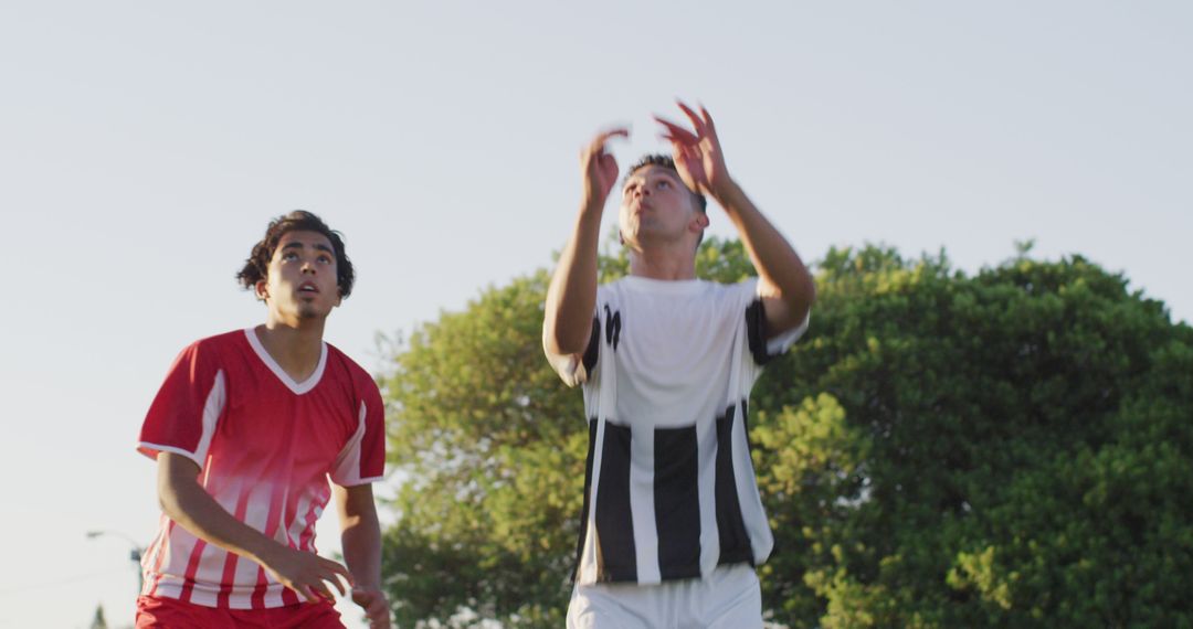 Two Male Soccer Players Anticipating a Header During Match - Free Images, Stock Photos and Pictures on Pikwizard.com