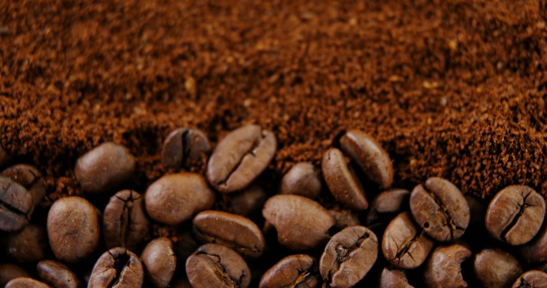 Roasted Coffee Beans and Freshly Ground Coffee Close-Up - Free Images, Stock Photos and Pictures on Pikwizard.com