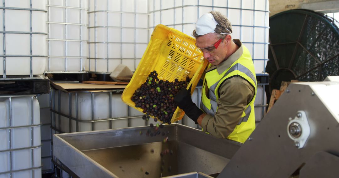 Factory Worker Handling Grape Processing at Industrial Facility - Free Images, Stock Photos and Pictures on Pikwizard.com