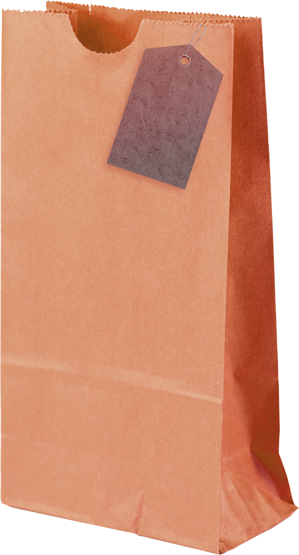 Transparent Brown Paper Bag with Blank Attached Price Tag, Isolated on White Background - Download Free Stock Images Pikwizard.com