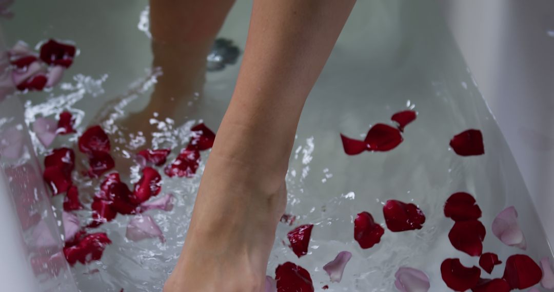 Relaxing Foot Soak with Rose Petals in Spa Setting - Free Images, Stock Photos and Pictures on Pikwizard.com