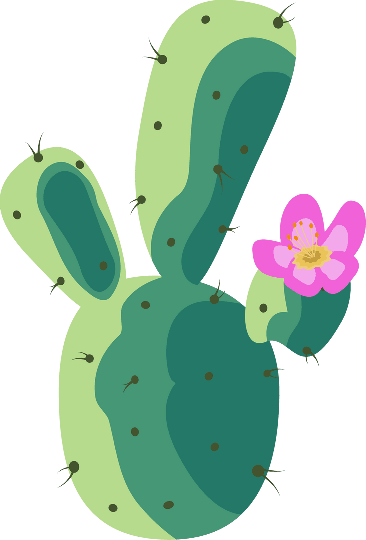 Vector Cactus with Pink Bloom on Transparent Backdrop